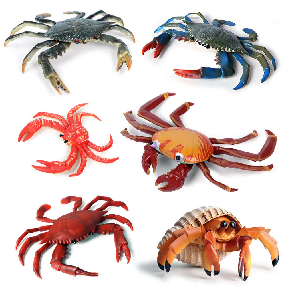 baby kids children toys sea an - đánh giá và giá Kids Toys In Store