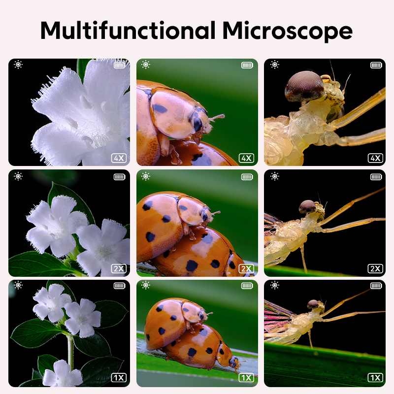 Mini Kids Optical Microscope W - đánh giá và giá Kids Toys Videos